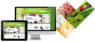 thiet ke web