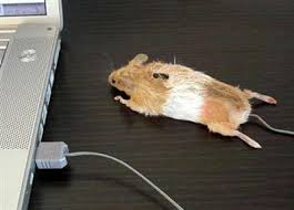 Sự ra đời của chuột máy tính và những tiếng click quen thuộc. 