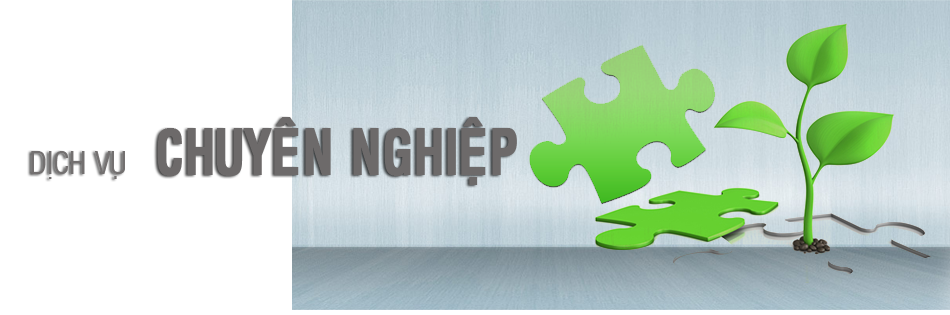 Hỗ trợ doanh nghiệp mới
